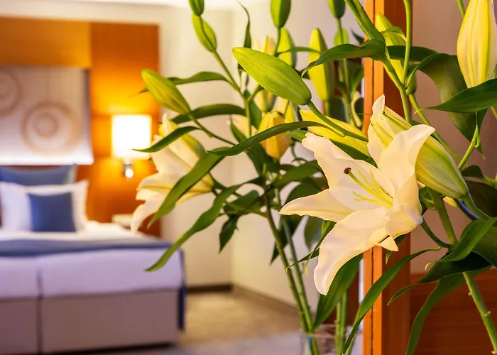 酒店 Landmark Creek & Wellness 4*